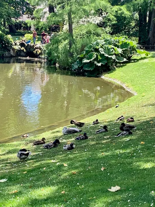 The 4 most relaxing parks in Nantes