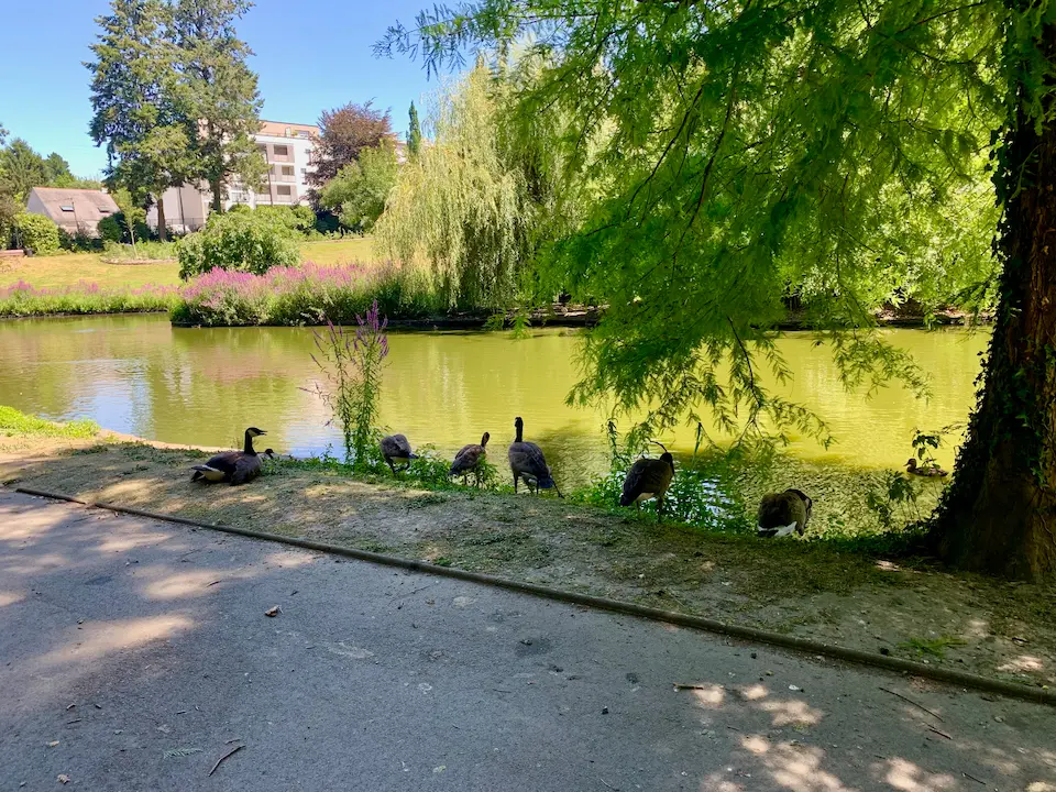 The 4 most relaxing parks in Nantes