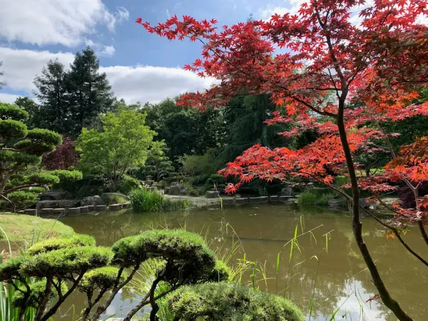 The 4 most relaxing parks in Nantes